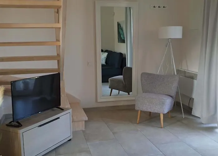 Apatramenty Gaga * Debki