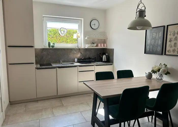 Apatramenty Gaga * Debki